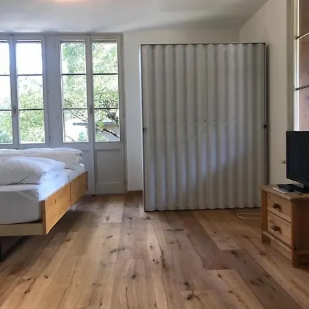 Sternen Budget 렌크